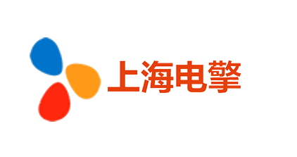 上海电擎情報システム株式会社