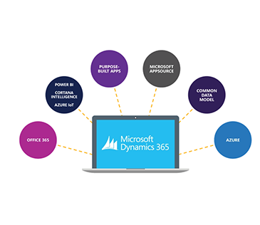Micorosoft Dynamics